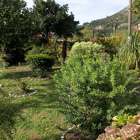 Holiday House With A Parking Space Trsteno, Dubrovnik - 2118 *