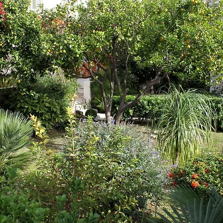 Дом отдыха Holiday House With A Parking Space Trsteno, Dubrovnik - 2118